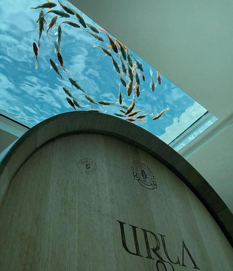 Two Rooms Hotel Urla Exterior foto
